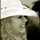 Cowboy hat pic.thumb